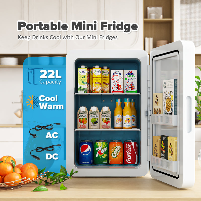 Advwin 22L AC/DC Portable Fridge Mini Refrigerator