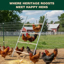 Advwin Chicken Roosting Perch 4-Tier Ladder Climbing Frame