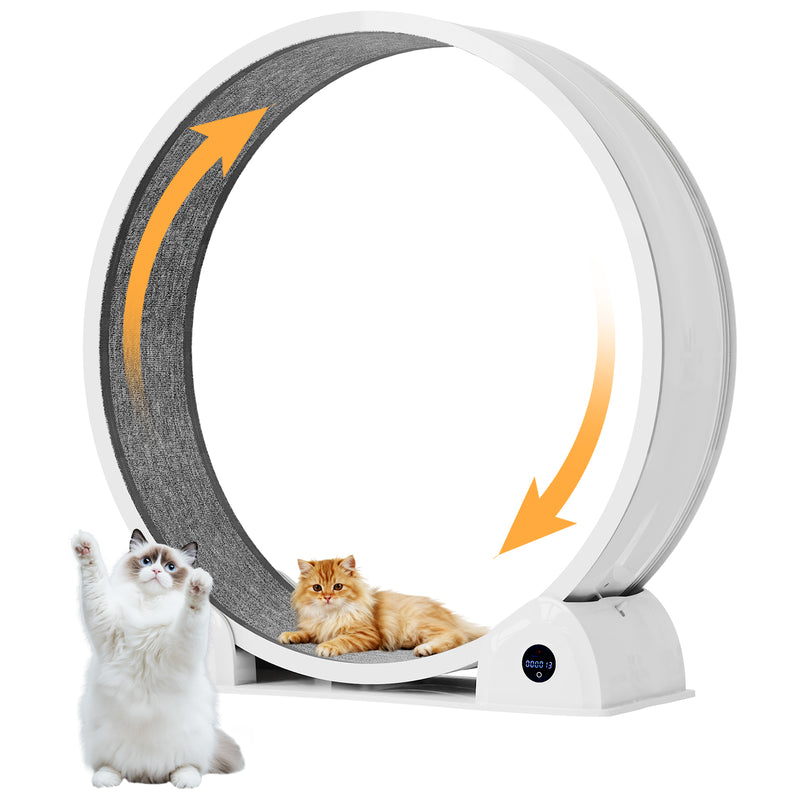 Advwin Cat Exercise Wheel with Digital Counter Display
