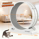 Advwin Cat Exercise Wheel for Running & Training