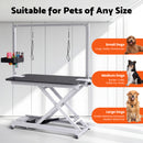 Advwin Electric Lift Pet Dog Grooming Table (Pre-Order)