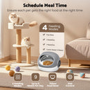 Advwin RFID Automatic Cat Feeder