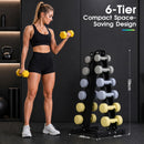 Advwin 6-Tier Heavy-Duty A-Frame Dumbbell Rack