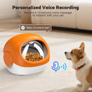 Advwin RFID Microchip Automatic Cat Feeder with Collar