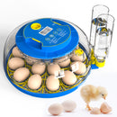Advwin Incubators for Hatching Eggs 18 Eggs Incubator