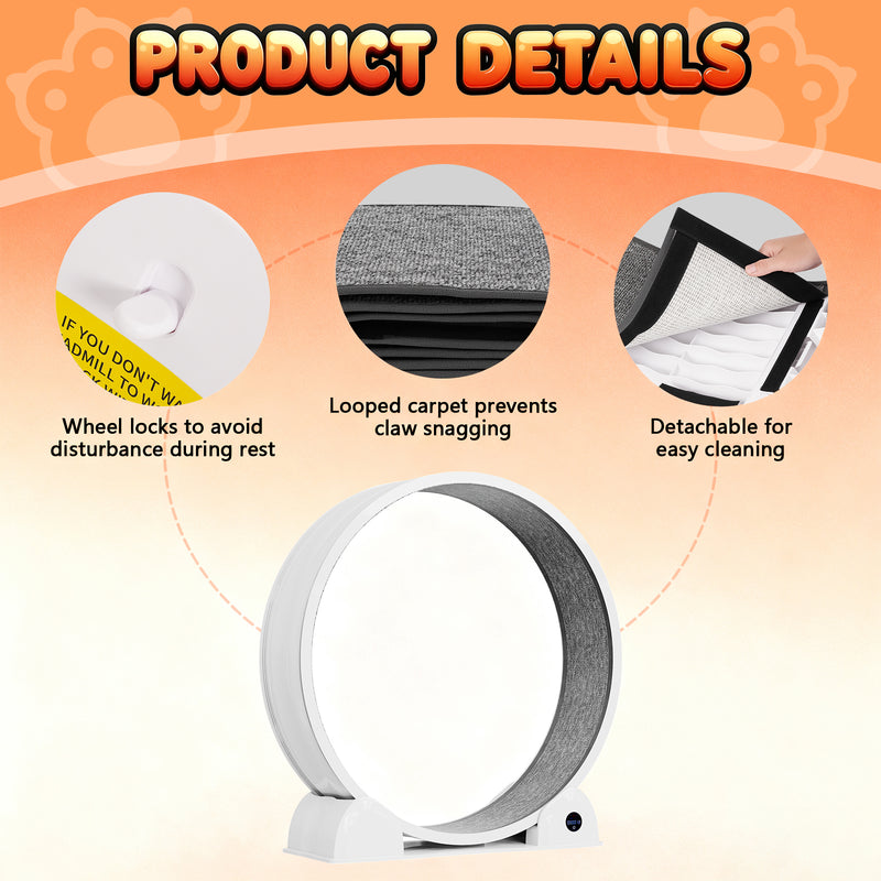 Advwin Cat Exercise Wheel with Digital Counter Display