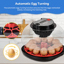 Advwin 12 Eggs Automatic Incubator for Hatching