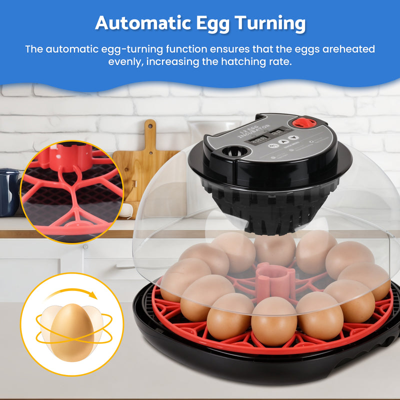 Advwin 12 Eggs Automatic Incubator for Hatching