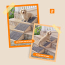 Advwin Wooden Pet Ramp with Non-Slip Gentle Slope