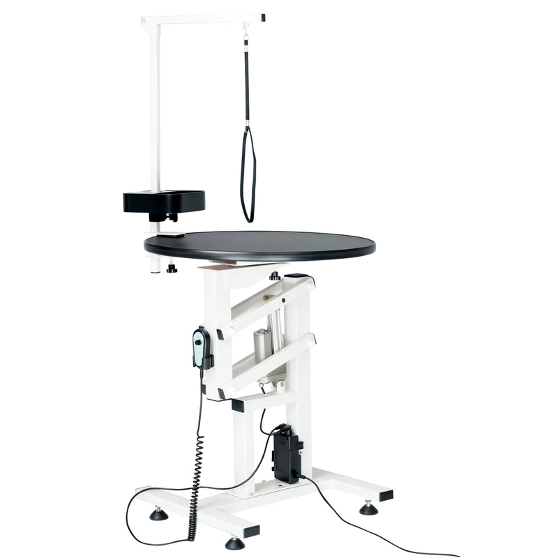 Advwin Electric Lifting Pet Grooming Table 24Inch 360°