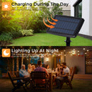 Advwin 15M Solar Outdoor Festoon Lights with LED