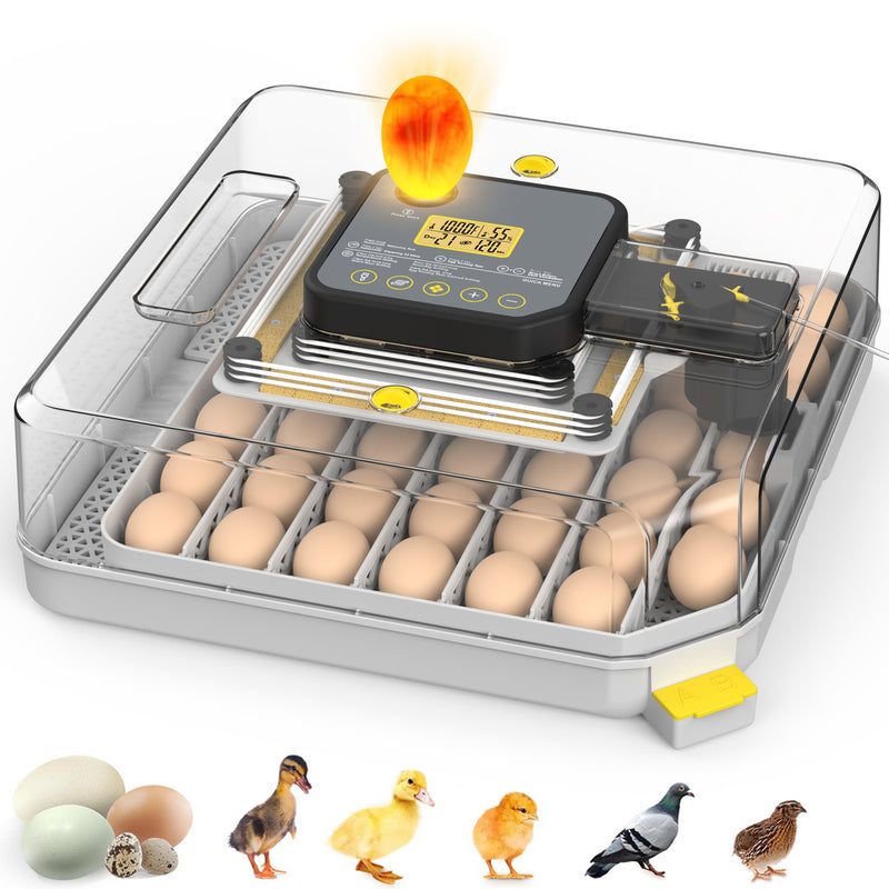 Advwin 48 Egg Incubator for Hatching Eggs
