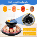 Advwin 12 Eggs Automatic Incubator for Hatching