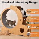 Advwin 4-in-1 Cat Exercise Wheel Large Cat Treadmill