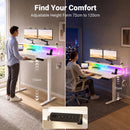 Advwin 120cm Electric Standing Desk w/ LED Light