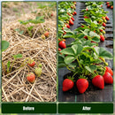 Advwin Weed Control Mat with Holes High Permeability