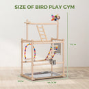 Advwin 3 Layer Parrot Perch Stand with Mirror