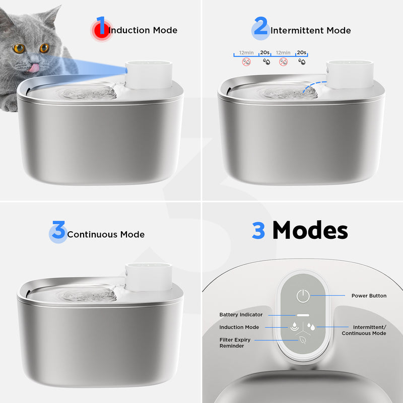 cat water fountain