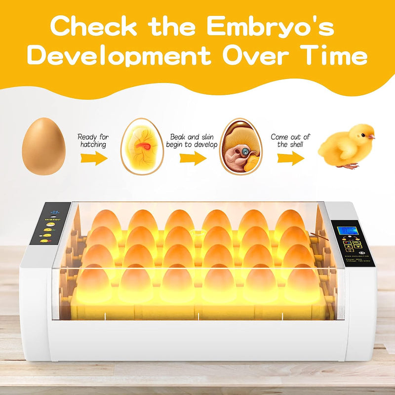 Advwin 24 Egg Incubator Automatic Turning