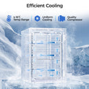 Advwin 20L Mini Bar Fridge with Adjustable Temperature