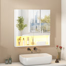 Advwin LED Bathroom Mirror Cabinet Wall Mounted