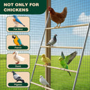 Advwin Chicken Roosting Perch 4-Tier Ladder Climbing Frame