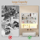 Advwin LED Bathroom Mirror Cabinet Wall Mounted