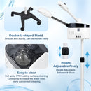 Advwin Professional Facial Steamer