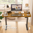 Advwin Electric Standing Desk  Adjustable Height 120cm