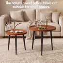 Advwin Walnut Nesting Coffee Tables Set of 2