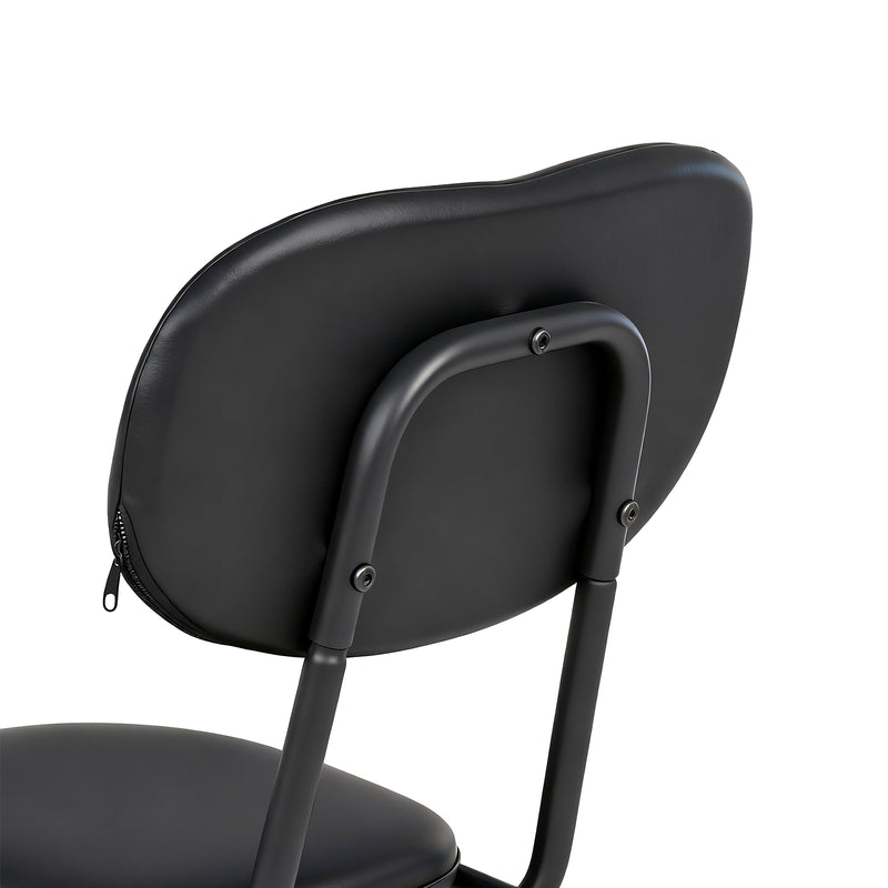 Advwin Kitchen Dining Chairs Black Set of 4