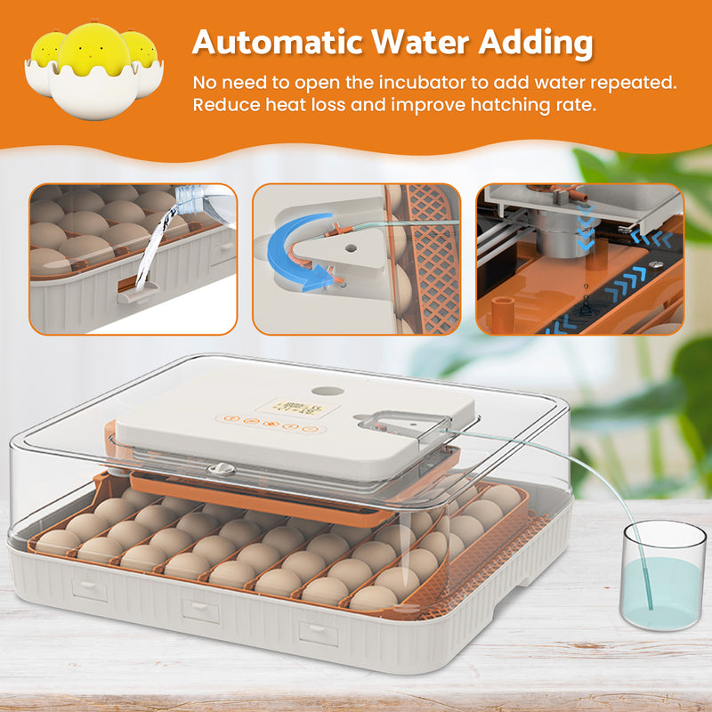 Advwin 56 Eggs Incubator with Temperature Control