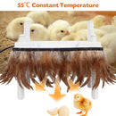 Advwin 12"x12" Chick Brooder Heating Plate