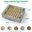 Advwin 36 Eggs Incubator with Automatic Turner (Pre-Order)