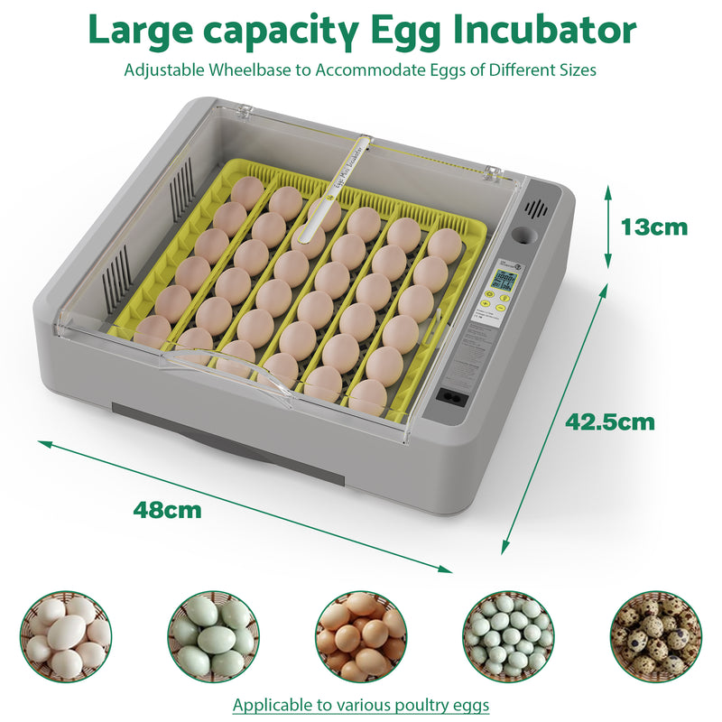 Advwin 36 Eggs Incubator with Automatic Turner