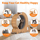 Advwin 4-in-1 Cat Exercise Wheel Large Cat Treadmill