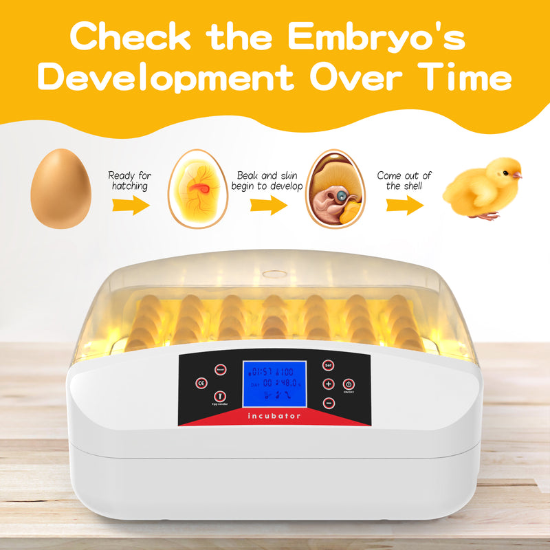 Advwin 56 Egg Incubator Automatic Turning