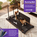 Advwin Dog Treadmill w/ 6° Incline & Adjustable Speed