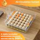 Advwin Egg Incubator with Automatic Egg Turning (108 Eggs)