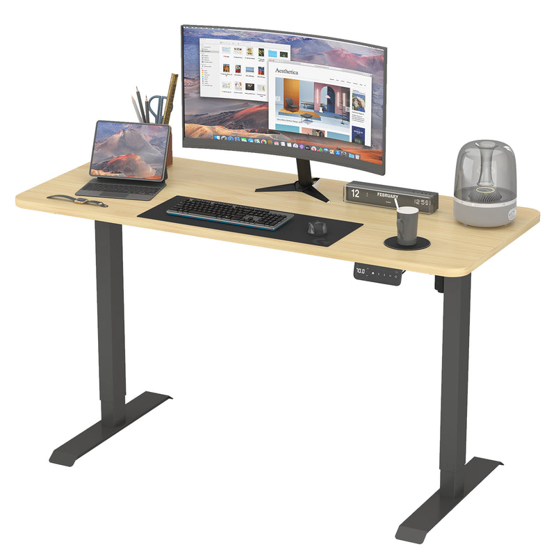 Advwin Adjustable Height Electric Standing Desk