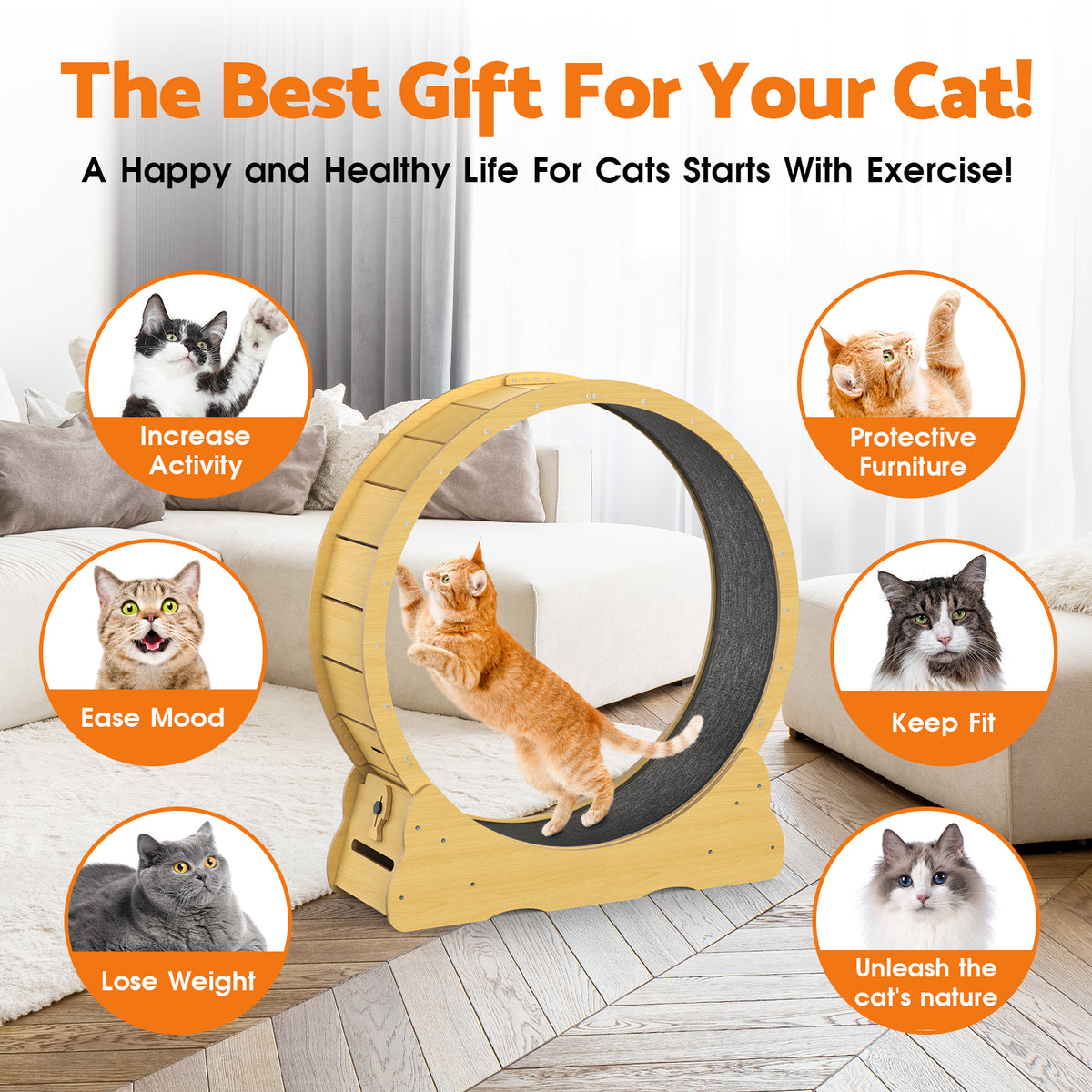 Cat Running Wheel Cat Wheel Low Noise Cat Exercise Wheel Sturdy