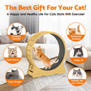 Advwin Cat Exercise Wheel  Running Wheel