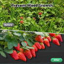 Advwin Weed Mat