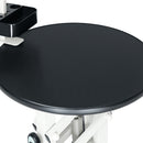 Advwin Electric Lifting Pet Grooming Table 24Inch 360°