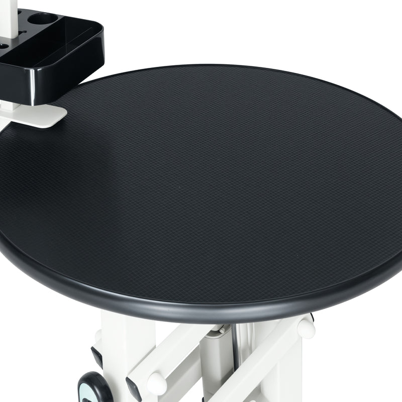Advwin Electric Lifting Pet Grooming Table 24Inch 360°