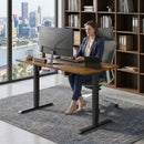 Advwin 120x60cm Electric Standing Desk Height Adjustable