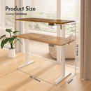 Advwin Electric Standing Desk  Adjustable Height 120cm