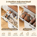 Advwin All-in-One Coat Rack with Flip Shoe Cabinet