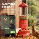 Advwin 3.5L Automatic Chicken Feeder w/ App Control & Timer