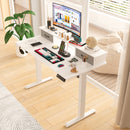 Advwin Electric Standing Desk with Monitor Stand
